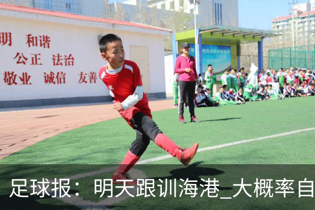 足球报：明天跟训海港 大概率自由身加盟 外援要补强
